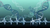 DNA double helix structures with heartbeat rhythm line on gradient background for medical genetics research and biotechnology concepts.