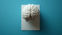 White anatomical brain model on blank paper against turquoise background, demonstrating medical education and neuroscience concepts for healthcare presentations.