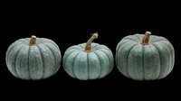 Isolated blue-green pumpkins with textured ridges and brown stems on transparent background, ready for t-shirt designs, clipart, stickers, sublimation, and print-on-demand projects.