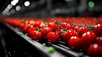 Fresh red cherry tomatoes on vine arranged in rows with selective focus and blurred bokeh background, vibrant food photography for produce marketing.