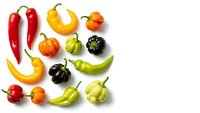 Colorful assorted hot chili peppers and sweet peppers isolated on white background for cooking spice ingredient design and culinary projects.