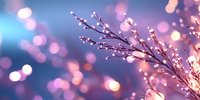 Delicate spring branch with water drops against blurred pink and blue bokeh background, creating dreamy atmospheric nature macro photography.
