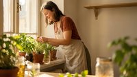Young woman in apron tending to fresh herbs on kitchen windowsill, natural lighting, sustainable living and home gardening concept for cooking enthusiasts.