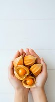 Hands holding fresh golden physalis fruits with papery husks open, displaying bright orange berries against white background, suitable for healthy food, nutrition, and organic produce marketing.