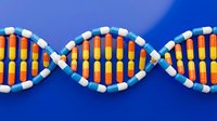 DNA double helix structure made of colorful medicine capsules on blue background, representing pharmacogenomics and genetic drug research.