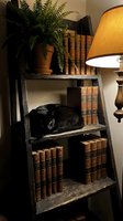 Black cat resting on a rustic wooden ladder shelf with vintage leather books, fern plant, and warm glowing lamp in cozy home library.