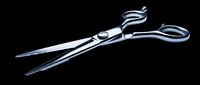 Shiny stainless steel hairdressing scissors isolated on transparent background, ready for salon, barber, beauty, clipart, sticker, t-shirt design, and print on demand use.
