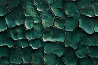Cracked emerald green paint surface with deep fissures and aged texture creates abstract pattern. Dark shadows emphasize weathered, distressed appearance of peeling layers.