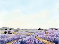 Lavender field landscape with rolling hills, winding dirt paths, and distant tree clusters under soft overcast sky, suitable for travel, agriculture, and nature-themed designs.