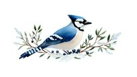 Blue jay bird perched on decorative branch with green leaves and berries, watercolor style illustration isolated on white background for nature designs.