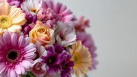 Colorful spring flower bouquet with pink gerbera daisies, peach roses and purple blooms arranged together on neutral background for celebrations.