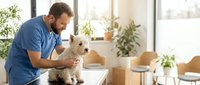 Male veterinarian with light skin tone examining small cream-colored dog in modern clinic with plants and natural light, providing professional pet healthcare and animal medical consultation.