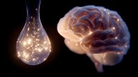 Glowing light bulb with sparkles next to luminous human brain on dark background illustrates concept of creativity, innovation and cognitive intelligence.