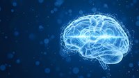 Digital brain network with glowing neural connections on blue background for artificial intelligence and neuroscience concepts.