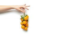 Hand holding fresh yellow cherry tomatoes on vine isolated on white background for healthy cooking and organic food concepts.