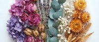 Dried flower arrangement with purple hydrangeas, pink roses, eucalyptus, orange chrysanthemums and decorative grasses on white background for crafts.