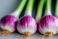 Fresh purple spring onions with white bulbs and green stems arranged in row, showing detailed roots and layered structure on neutral background. Macro food photography.