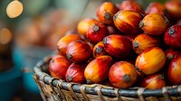 Fresh palm oil fruits in woven basket with vibrant red and orange colors on blurred background, close up view showing natural texture and pattern of tropical harvest.