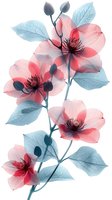 Delicate pink flowers with translucent petals and blue-tinted leaves in x-ray style arrangement on white background, suitable for wall art and textile design.