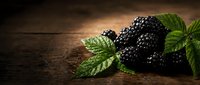 Fresh blackberries with green leaves arranged on rustic wooden surface, ideal for food, nutrition, and culinary design projects.