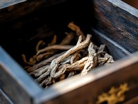 Dried ginseng roots in vintage wooden box, natural medicine ingredient photographed with selective focus. Traditional Asian herbal remedy and wellness concept.