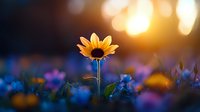 Single yellow sunflower standing tall among blue wildflowers at sunset, with golden bokeh light and dark background creating dreamy natural atmosphere in garden.
