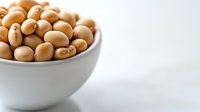 Fresh raw soybeans in white ceramic bowl on light background. Natural protein source, healthy vegetarian ingredient for Asian cuisine and cooking.