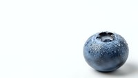 Fresh blueberry with water droplets isolated on white background for healthy eating and nutrition concepts.