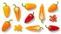 Fresh colorful mini sweet peppers and cherry tomatoes isolated on white background for healthy cooking and culinary design projects.