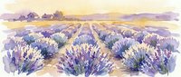 Watercolor painting of purple lavender field rows stretching to horizon with farmhouse buildings in distance under golden sunset sky for home decor.