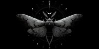 Mystical moth with geometric sacred symbols and celestial elements on black background for spiritual and esoteric design projects.
