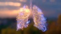Glowing anatomical lungs created with light trails and fiber optic effects against sunset sky background, representing respiratory health and medical innovation.