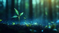 Young green sprout growing from soil in magical forest environment with glowing particles and mystical blue light, representing growth, hope and new beginnings.