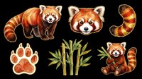 Red panda isolated on transparent background, ready for t-shirt design, clipart, stickers, sublimation, and print-on-demand products. Multiple poses and angles included.