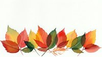 Colorful autumn leaves in vibrant red, orange, yellow and green hues arranged in decorative row on white background for seasonal design projects.