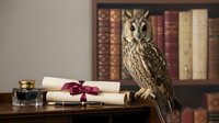 Long-eared owl perched on wooden desk with vintage books, scroll, ink bottle and quill pen creating scholarly academic atmosphere for educational content.