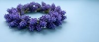 Fresh lavender flower wreath arranged in circular form on soft blue background, perfect for aromatherapy, spa treatments, natural wellness and relaxation concepts.
