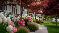 Elegant residential garden with vibrant hydrangeas and Japanese maple trees lining curved pathway, creating serene landscape design for suburban home.