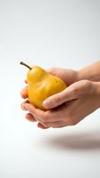 Hands gently holding fresh ripe yellow pear on white background. Healthy eating, organic fruit, nutrition concept for wellness and diet lifestyle.