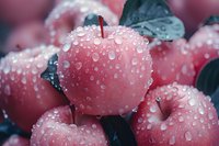 Fresh red apples covered in pure water droplets with dark leaves, macro photography showing detailed dewdrops on smooth fruit surface in cool tones.