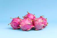 Fresh dragon fruit with vibrant pink skin arranged on blue background, exotic tropical pitaya fruits showing natural texture and scales for food design.