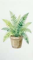 Watercolor fern plant in terracotta pot isolated on white background, ready for design projects, home decor, botanical illustrations, and interior decoration use.