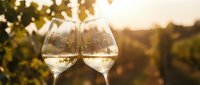 Two wine glasses filled with white wine clinking together in golden sunset light with vineyard background for celebration and romantic moments.