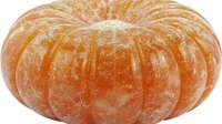 Fresh ripe orange pumpkin with deep natural grooves and matte textured skin isolated on white background, ready for seasonal design and harvest decoration.