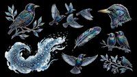 Isolated collection of iridescent birds, feathers, and botanical elements on transparent background. Ready for t-shirt design, clipart, stickers, sublimation, and print-on-demand projects.