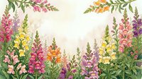 Watercolor snapdragon garden border with colorful pink, yellow, purple and orange blooms on soft cream background for cards and prints.