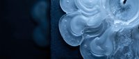 Translucent ice formation with organic swirling shapes on dark blue surface, macro close-up with cool tones and abstract texture.