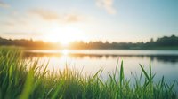 Tranquil lake landscape at sunrise with fresh green grass in foreground, golden sun reflection on calm water surface, and misty forest silhouette background.