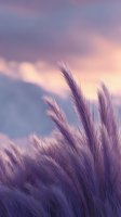 Purple pampas grass swaying against pastel sunset sky with soft clouds, creating dreamy atmospheric nature scene for wellness and meditation backgrounds.