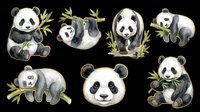 Cute panda bears in various poses with bamboo leaves, isolated on transparent background. Ready for t-shirt designs, stickers, clipart, sublimation, and print-on-demand products.